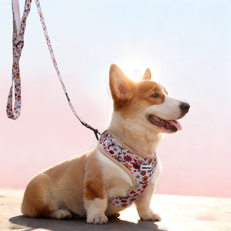 Flower Printed Hands Free Dog Leash