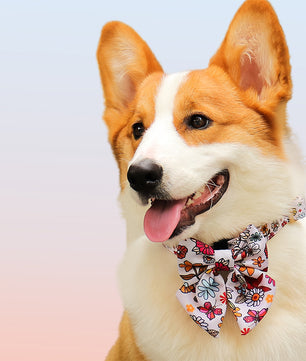 Flower Print dog birthday bow tie designed to match the harness and owner accessories in a coordinated system