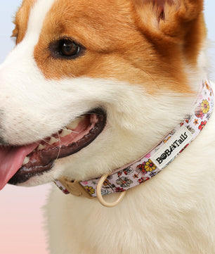 Flower Print dog tags for collars matching harness and owner accessories for daily dog walks