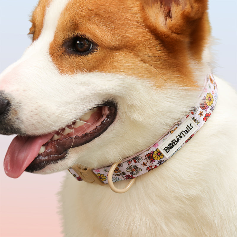Flower Print dog tags for collars matching harness and owner accessories for daily dog walks