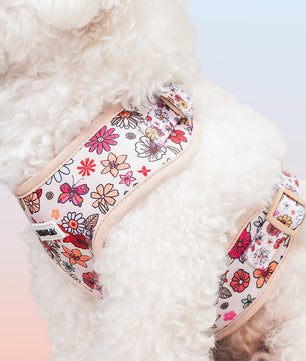 Flower Printed best dog harness no-pull as part of a complete dog and owner matching accessory set