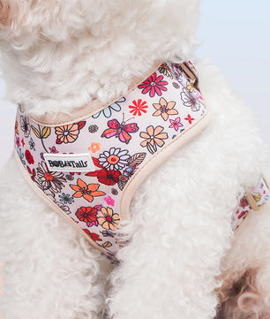 Flower Printed best harness for dog as part of a complete dog and owner matching accessory set