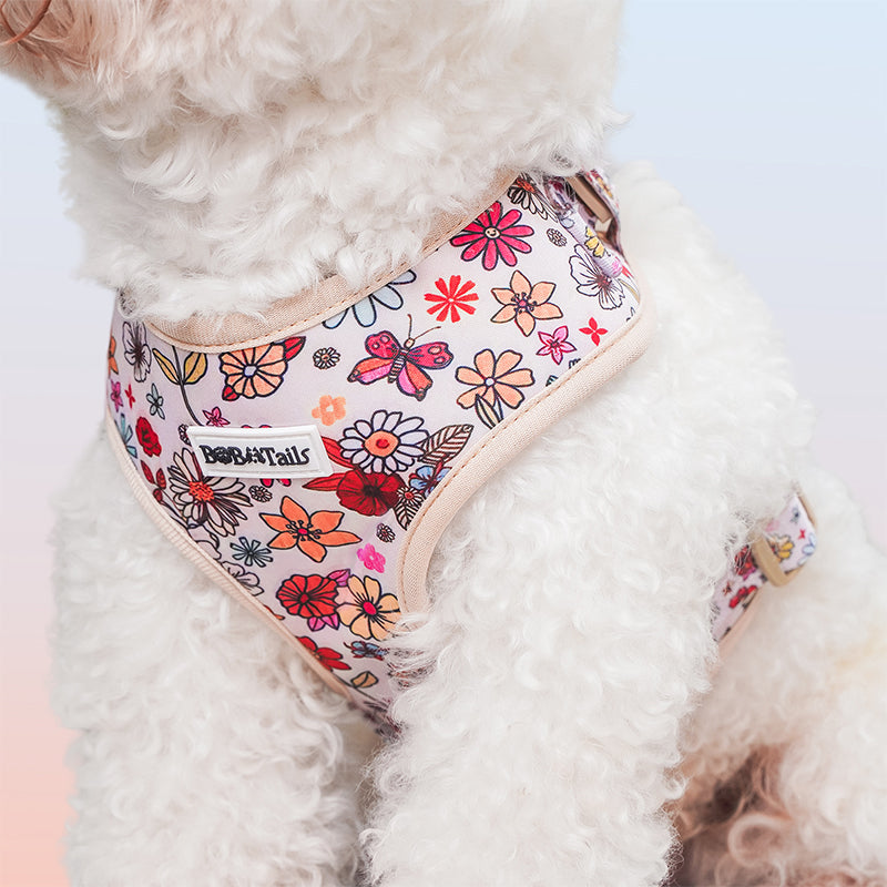 Flower Printed best harness for dog as part of a complete dog and owner matching accessory set