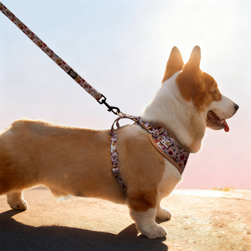Flower Printed best leash for running with dog matching the harness and owner accessories in a coordinated set