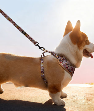 Flower Printed best leash for running with dog matching the harness and owner accessories in a coordinated set