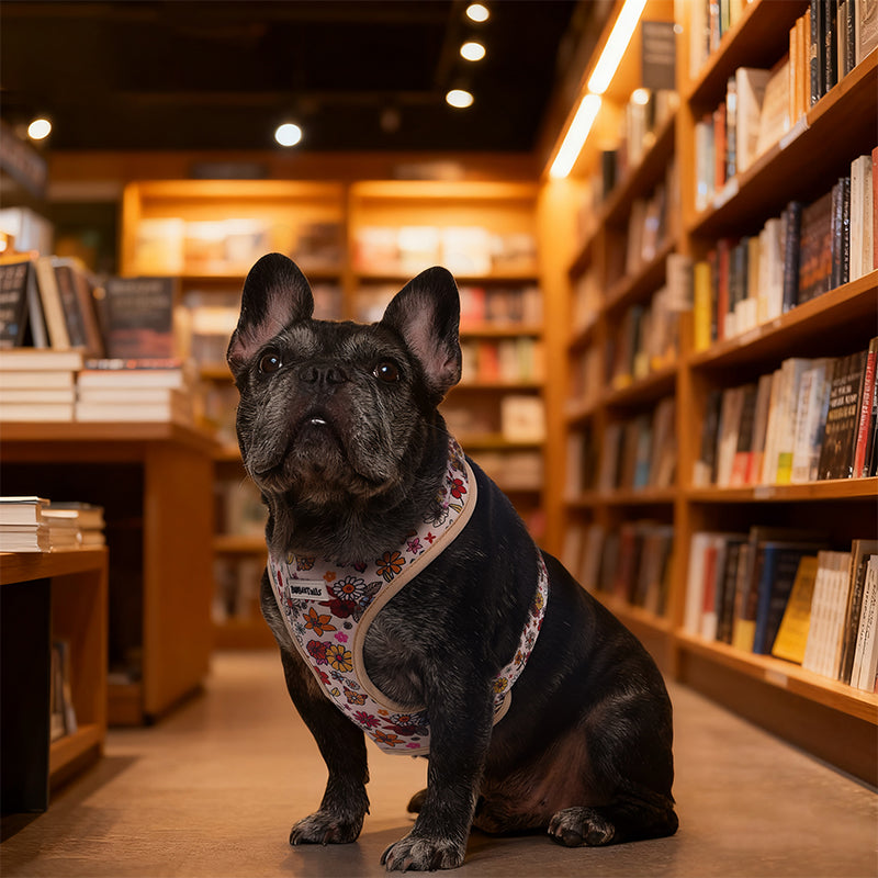 Flower Printed gentle dog harness designed to match the harness and owner accessories in a coordinated system