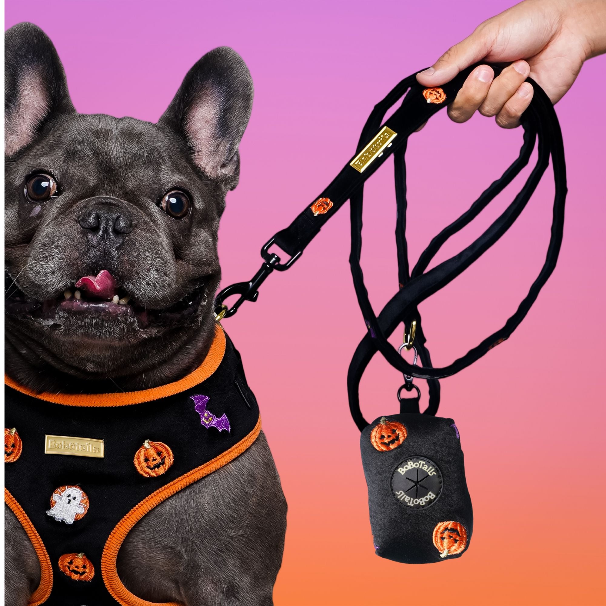 Hallowen Velvet Dog Leash | Bobotails