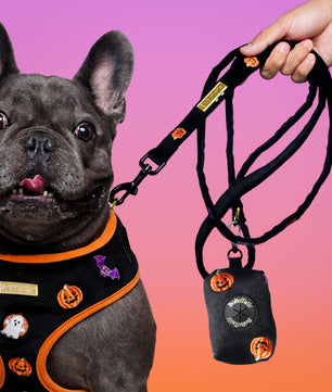 Halloween Poop Bag Holder