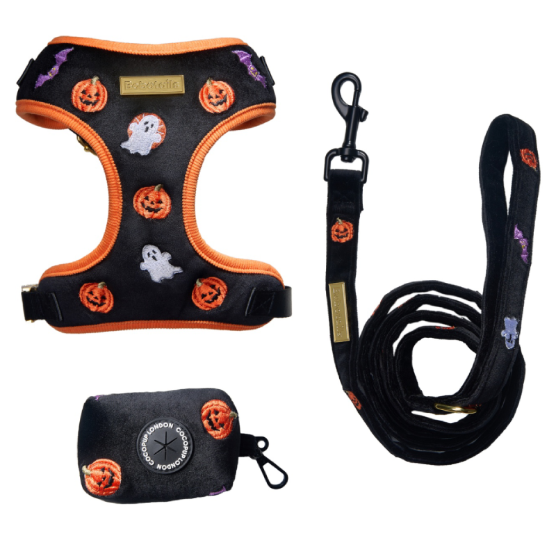 Hallowen Bundle Set