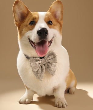 Knitted adjustable Dog Bow Tie
