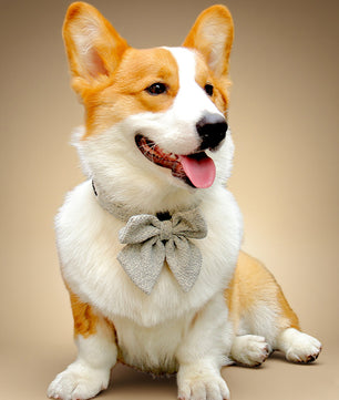 Chunky Knitted 7-Piece Matching Set for Dogs & Pet Parents