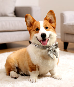 Knitted adjustable Dog Bow Tie