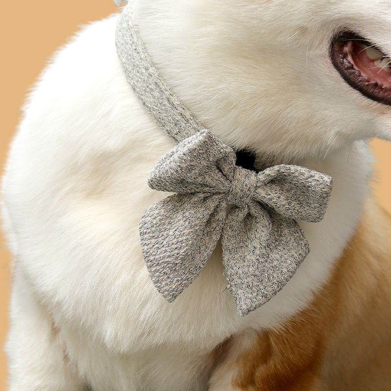 Dog wearing a taupe chunky knitted puppy bow tie collar on a neutral background