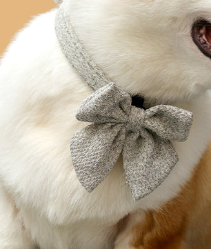 Dog wearing a taupe chunky knitted puppy bow tie collar on a neutral background