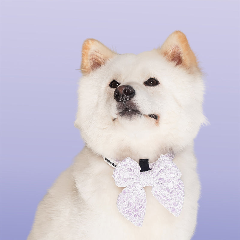 Lavender Dog Wedding Bow Tie