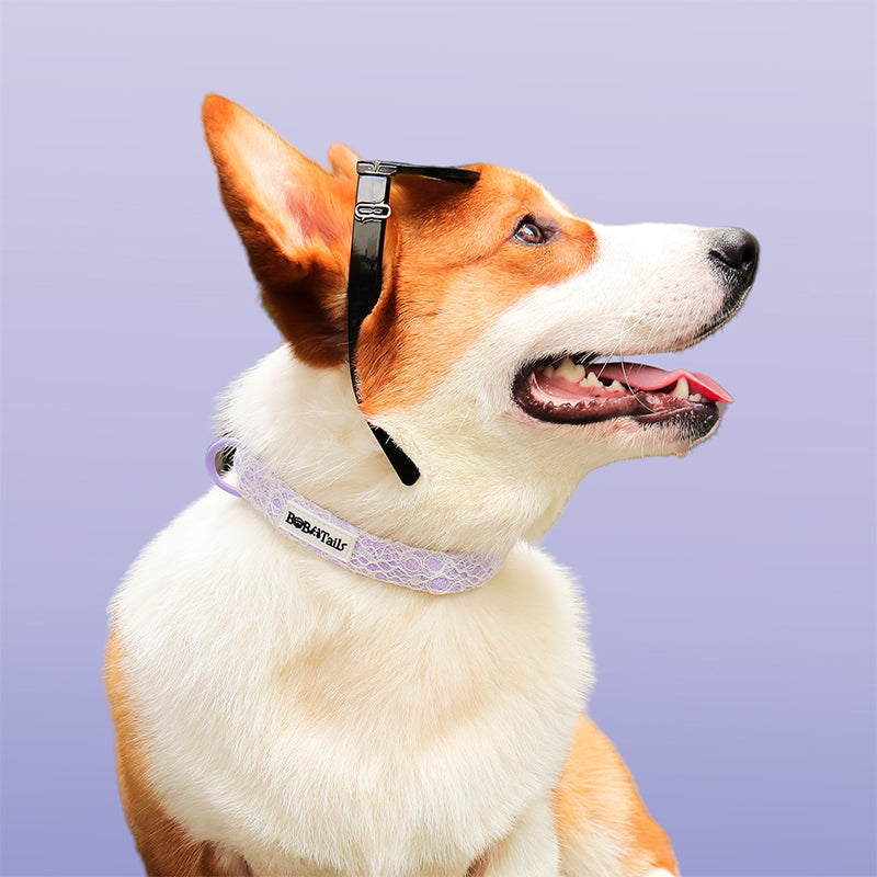 ปลอกคอสุนัขลูกไม้ลาเวนเดอร์สาว