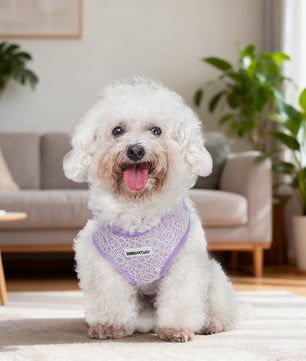 Lavender dog harness for medium dogs