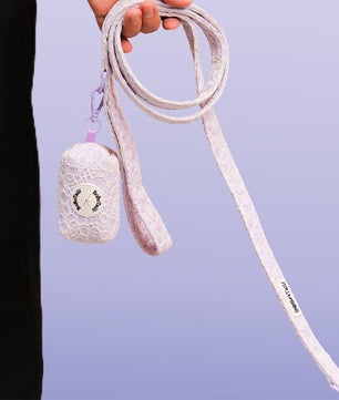 Beauté de la laisse de chien en dentelle