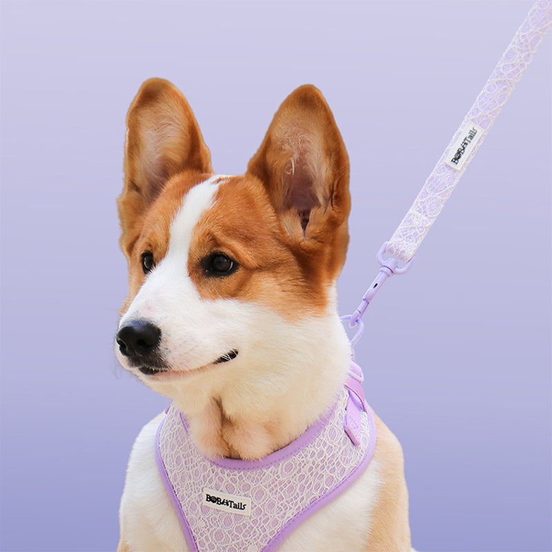 Beauty of Lace Dog Leash