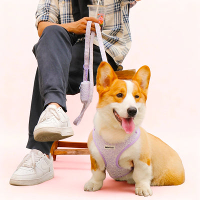 lavender lace dog harness and leash set by Bobotails