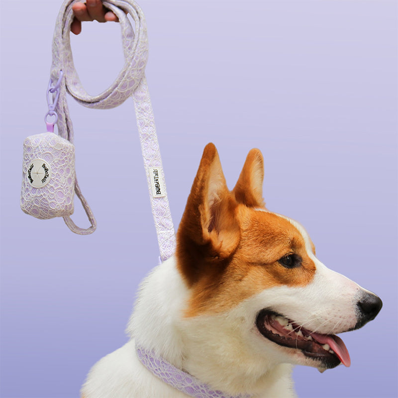 Lavender lace dog leash and collar set for small medium dogs | Bobotails