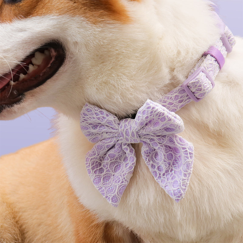 Lavender lace bow tie collars for dogs designed to match the harness and owner accessories in a coordinated system