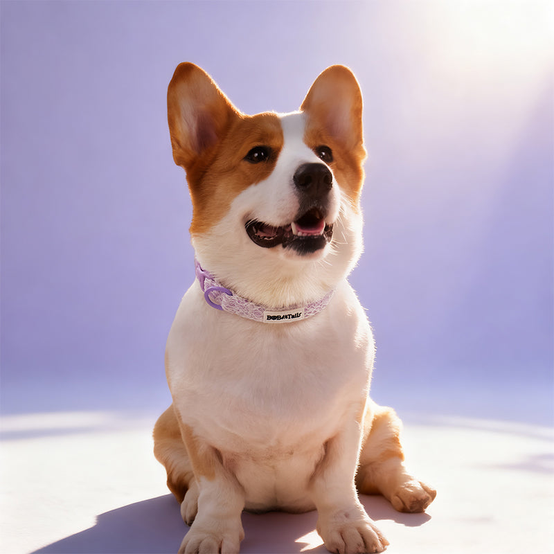 cute dog collars designed to match  Lavender lace dog harness and owner accessories in a coordinated set