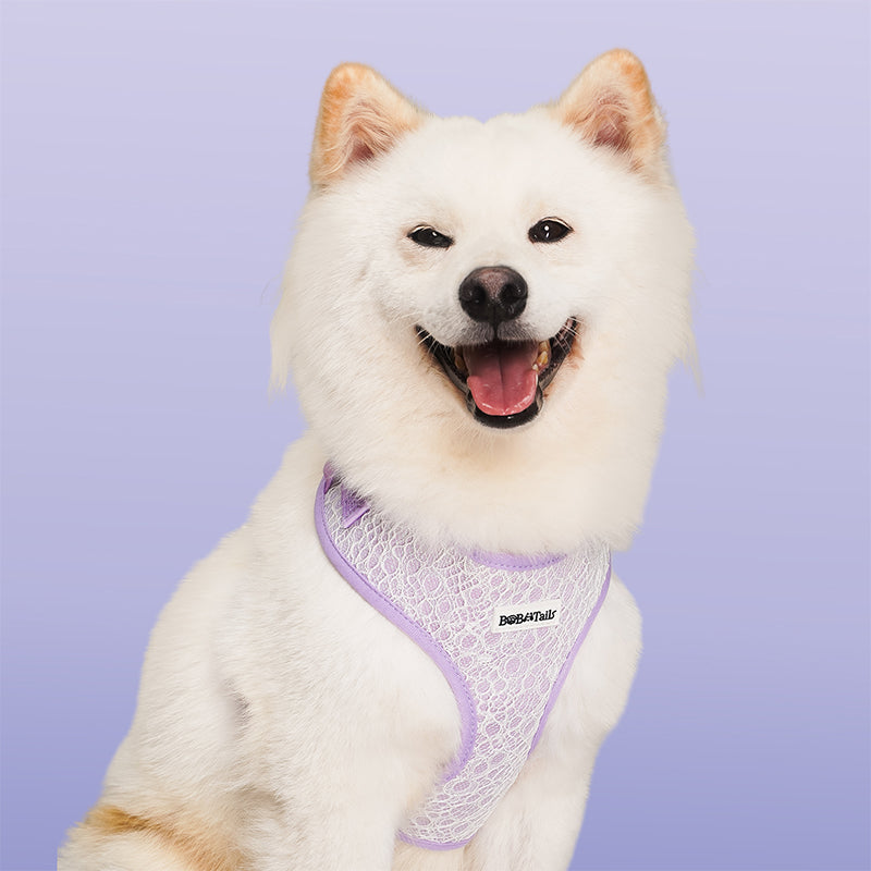 Side view of Lavender lace  dog harness no pull  showing fit and comfort within a coordinated dog and owner matching system