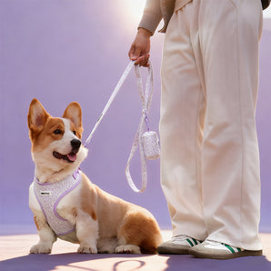 Lavender lace cute dog leash for small dogs – matching dog and owner outfits \| Bobotails