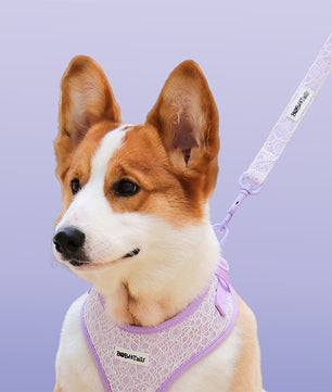 Romantic lavender dog walking leash – coordinated dog and owner matching set | Bobotails