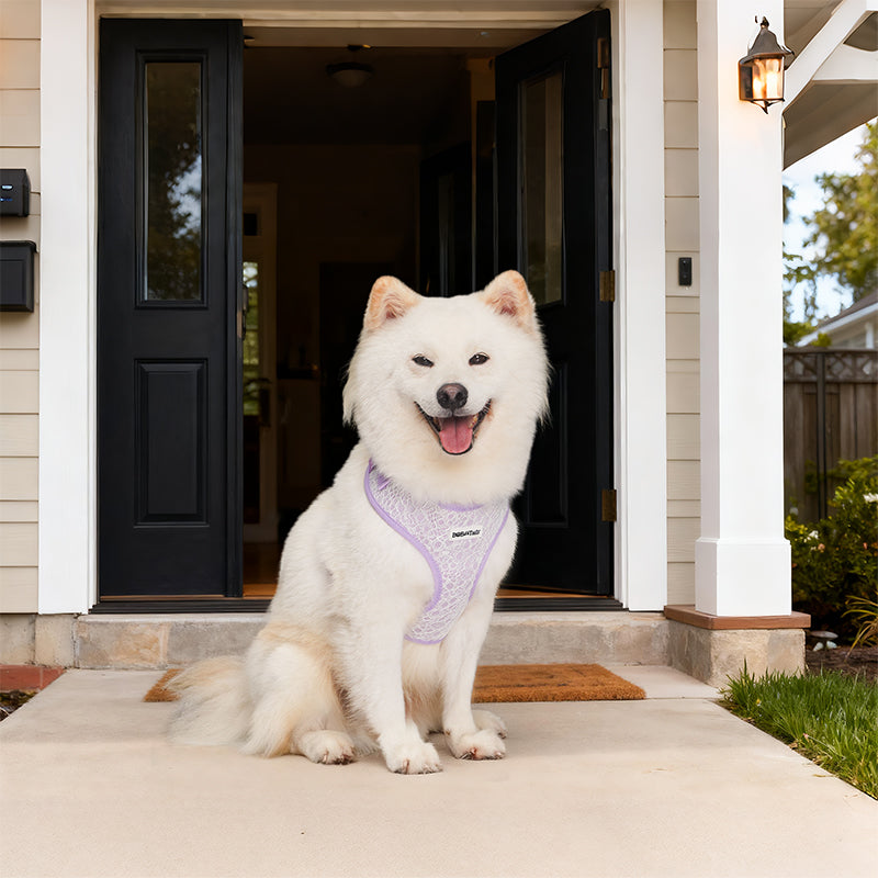 Lavender lace emotional support dog vest designed as part of a matching dog and owner accessory system for everyday walks