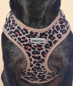 Small Dog Harness – Leopard Print Dog Harness for Small Dogs