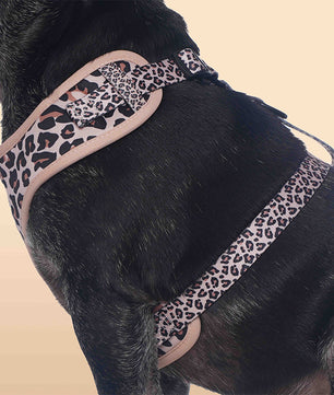 Small Dog Harness – Leopard Print Dog Harness for Small Dogs