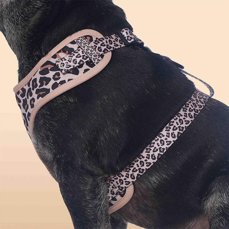 Small Dog Harness – Leopard Print Dog Harness for Small Dogs