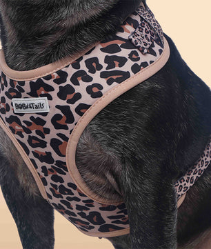 Small Dog Harness – Leopard Print Dog Harness for Small Dogs