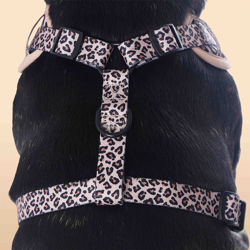 Harnais de chien imprimé léopard