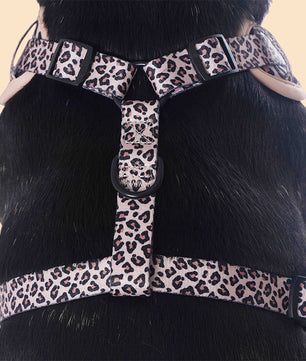 Small Dog Harness – Leopard Print Dog Harness for Small Dogs