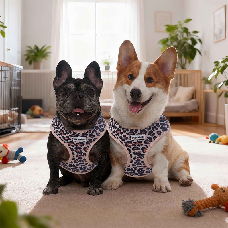 Harnais de chien imprimé léopard