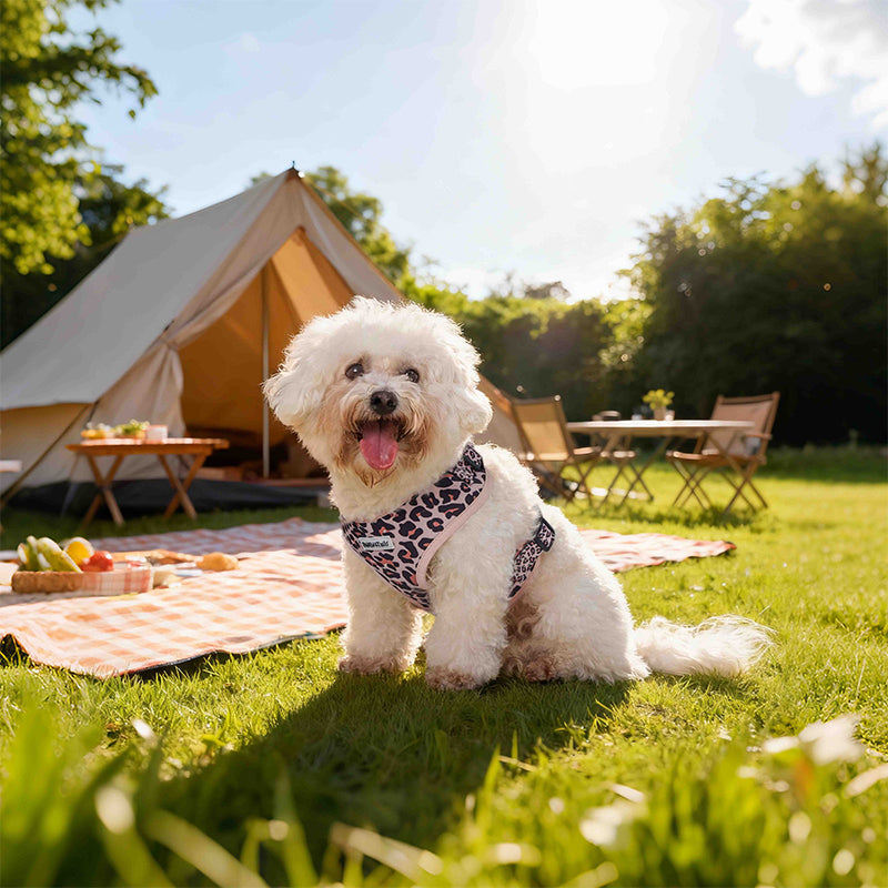 Harnais de chien imprimé léopard