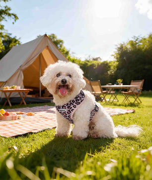 Small Dog Harness – Leopard Print Dog Harness for Small Dogs