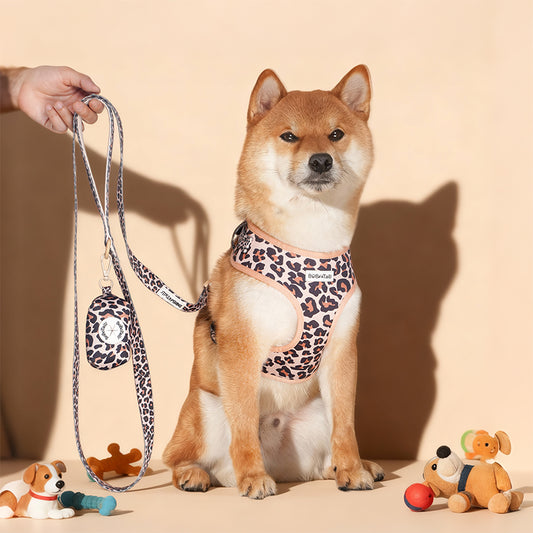 ヒョウ柄犬用リード