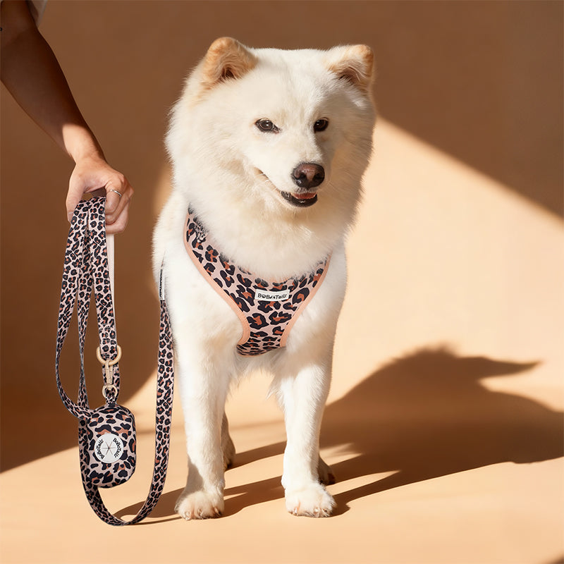 Laisse de chien imprimé léopard