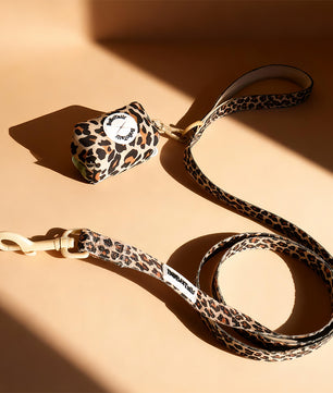 Leopard print dog leash and collar set on a beige background