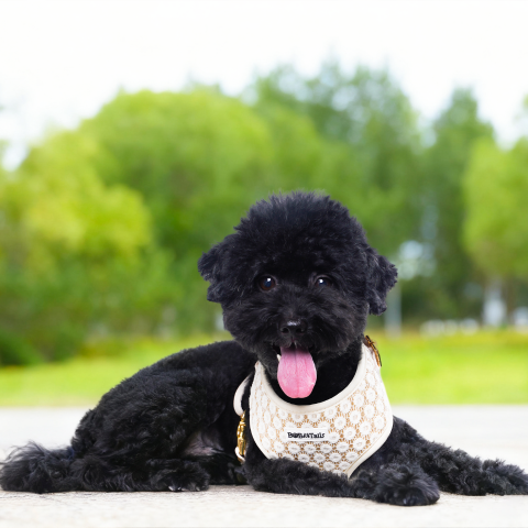 Luxury dog harness for small and medium dogs-Bobotails