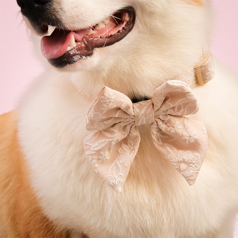 Morning Glory Dog Bow Tie (Light Brow)