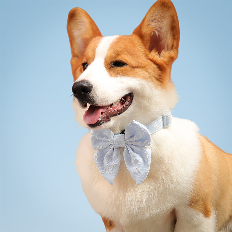 Morning Glory Dog Bow Tie