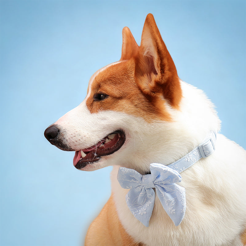 Morning Glory Dog Bow Tie