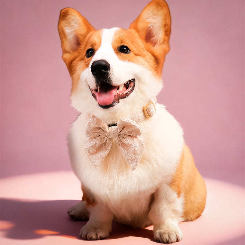 Morning Glory Dog Bow Tie (Light Brow)