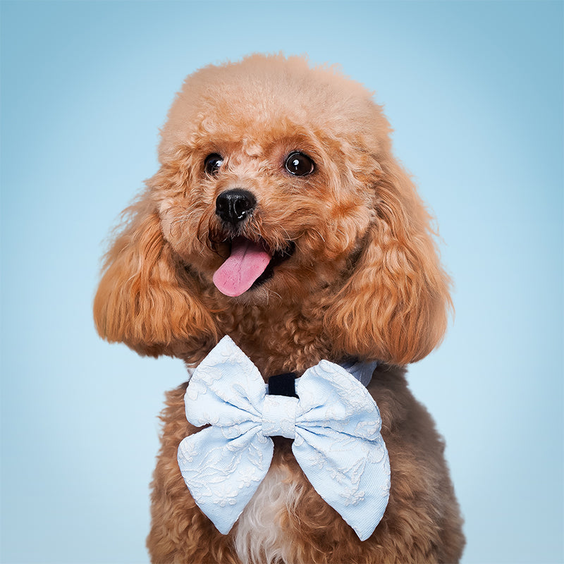 bow tie and collar for dog designed to complement the harness and accessories within the set