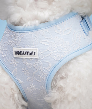 Morning Glory Dog Harness